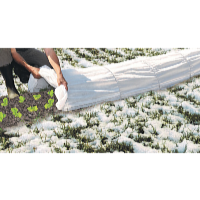 Garden King Fóliaalagút  500 x 40 x 60 cm