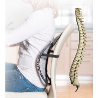 Wellife Ergonomikus háttámla 41 x 38 cm