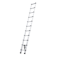Profi Tools Teleskopický žebřík AY-ZJ1032