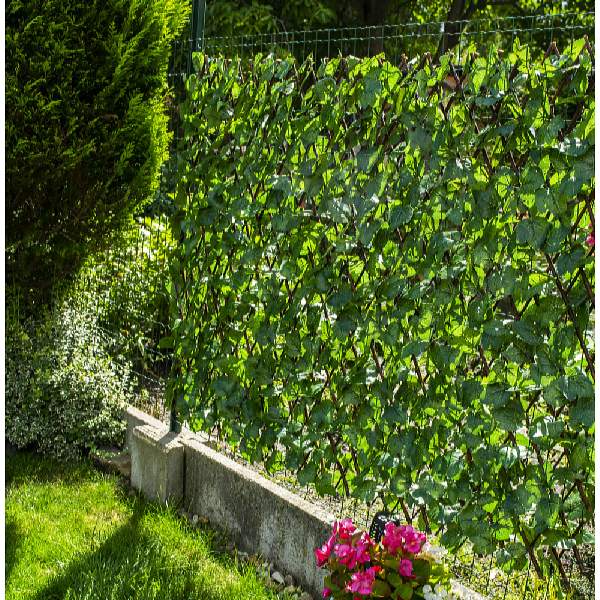 Garden King HEDERA FLEXI mesterséges sövény  200 x 100 cm