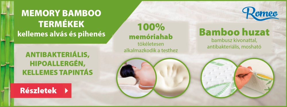 Memory Bamboo program